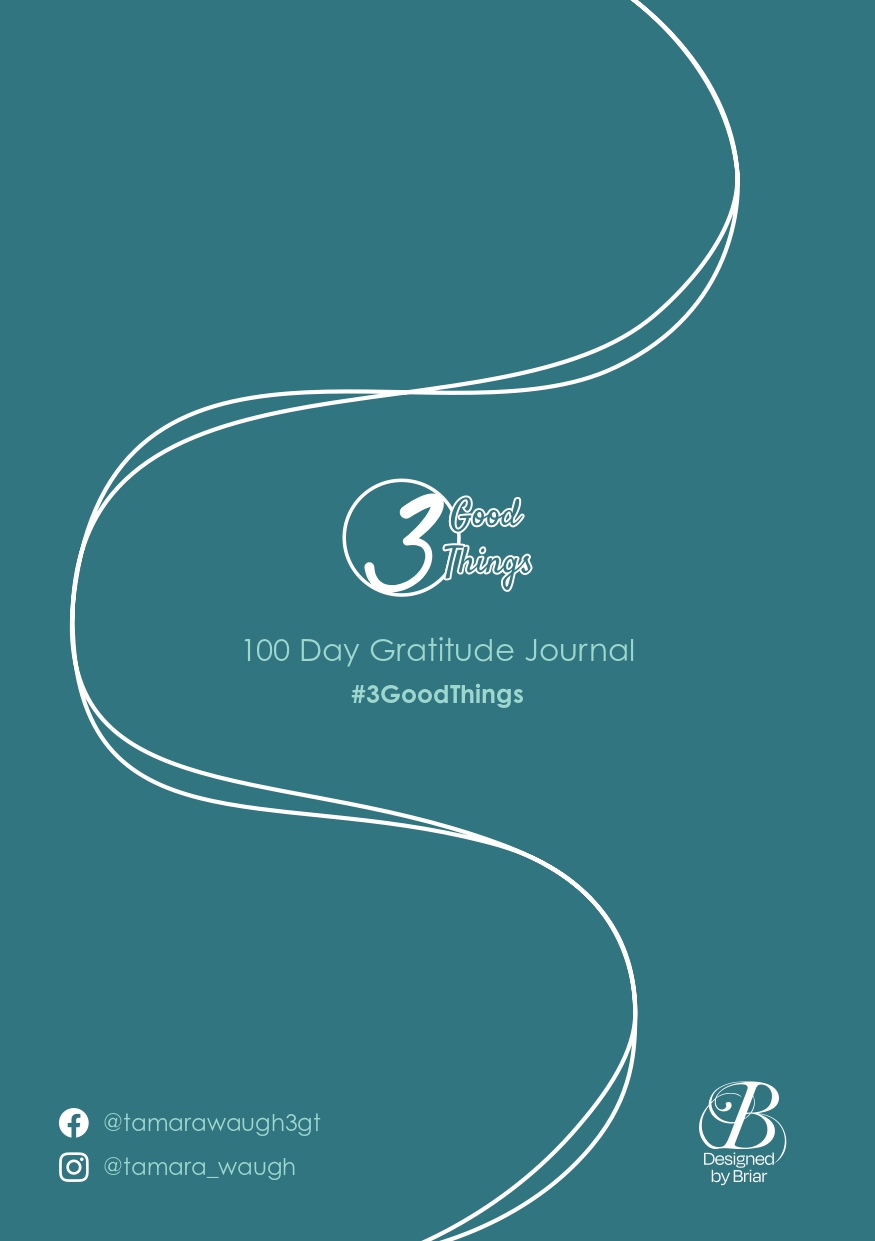 100-Day 3 Good Things Journal - Ming - Image 5