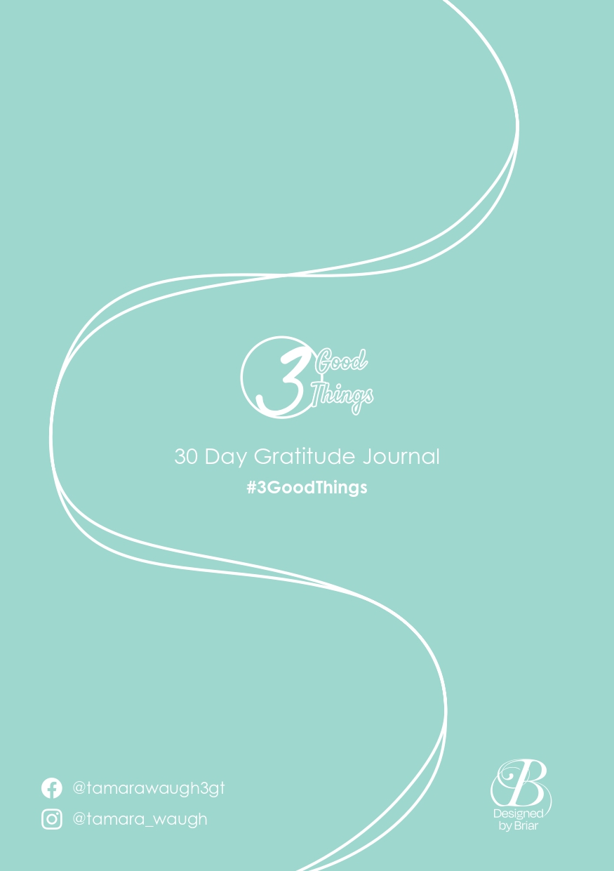 30-Day 3 Good Things Journal - Melon - Image 5